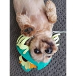 Image 4 of customer photos