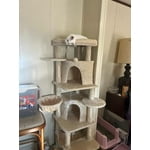 Image 4 of customer photos