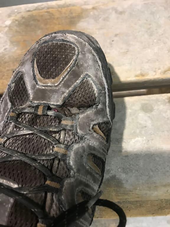 skechers blais bixford