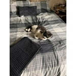 Image 6 of customer photos