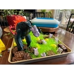 Image 1 of customer photos