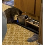 Image 3 of customer photos