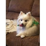 Image 5 of customer photos