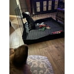 Image 1 of customer photos