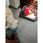 Image 2 of customer photos