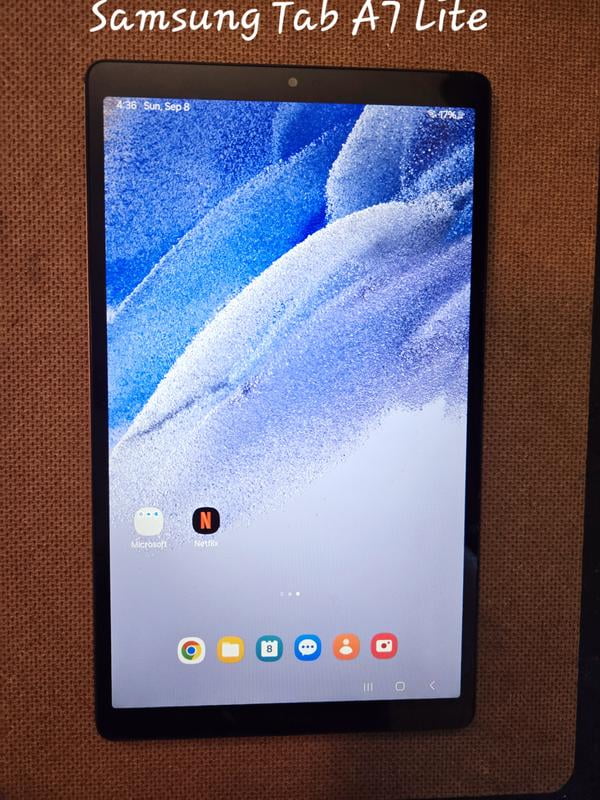 Samsung Galaxy Tab S6 Lite 10.4