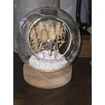 Image 3 of customer photos