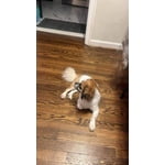 Image 2 of customer photos