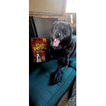 Image 6 of customer photos