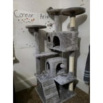 Image 6 of customer photos