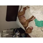 Image 6 of customer photos