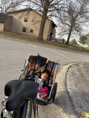 Customer reviews for Allen Sports Deluxe 2-Child Bicycle Trailer
