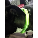 Image 2 of customer photos