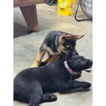 Image 3 of customer photos