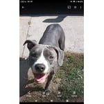 Image 7 of customer photos