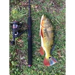 Image 5 of customer photos