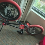 Image 5 of customer photos