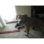 Image 4 of customer photos