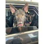 Image 2 of customer photos