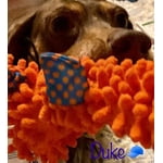 Image 5 of customer photos