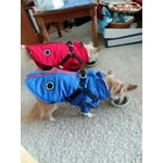 Image 6 of customer photos