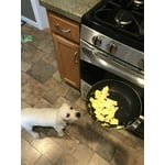 Image 7 of customer photos