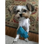 Image 5 of customer photos