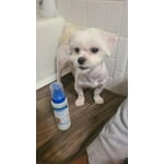 Image 6 of customer photos