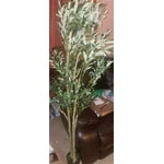 Image 6 of customer photos