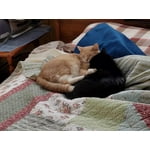 Image 7 of customer photos