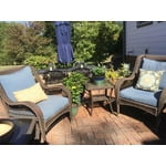 Image 1 of customer photos