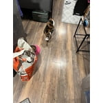 Image 2 of customer photos