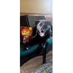 Image 7 of customer photos