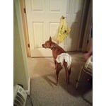 Image 7 of customer photos