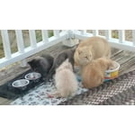 Image 7 of customer photos