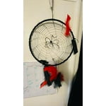 Image 3 of customer photos