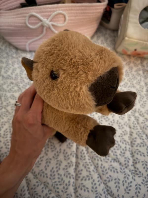 FAO Schwarz Adopt a Pets Sloth Plush - Walmart.com