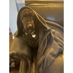 Image 6 of customer photos