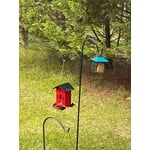 Image 2 of customer photos