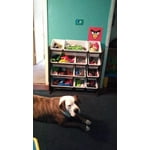 Image 6 of customer photos