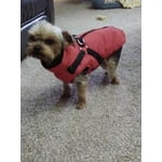 Image 3 of customer photos