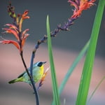 Image 3 of customer photos