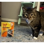 Image 4 of customer photos