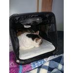 Image 4 of customer photos