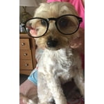 Image 5 of customer photos