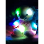 Image 6 of customer photos