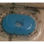 Image 3 of customer photos