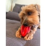 Image 7 of customer photos