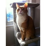 Image 3 of customer photos