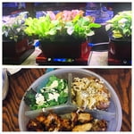 Image 7 of customer photos